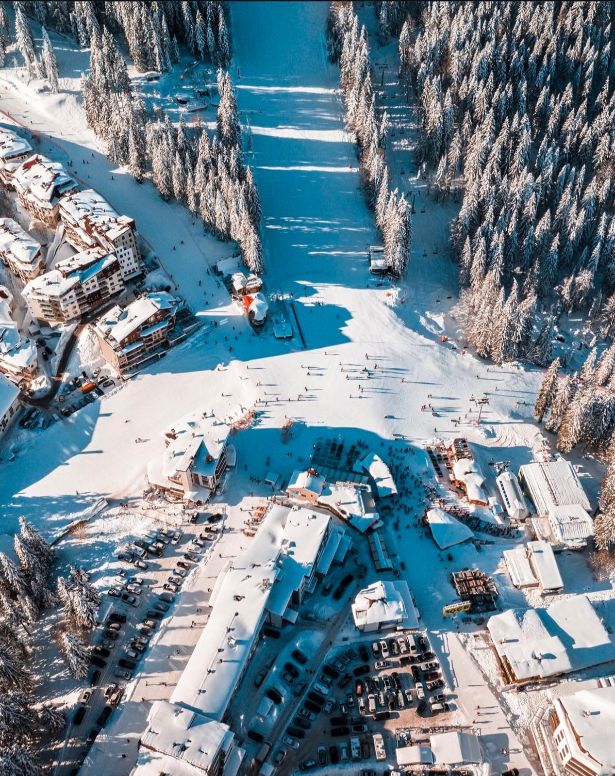 The Bear Pamporovo